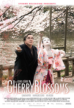 Cherry Blossoms (Kirschblüten - Hanami) Poster