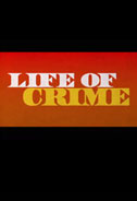 Life of Crime Poster