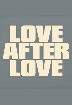 Love After Love Poster