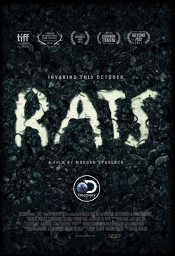 Rats Poster