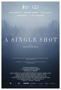 A Single Shot Poster