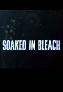 Soaked in Bleach Poster