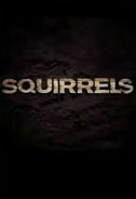 Squirrels Poster