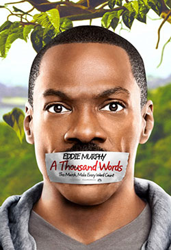 A Thousand Words Poster